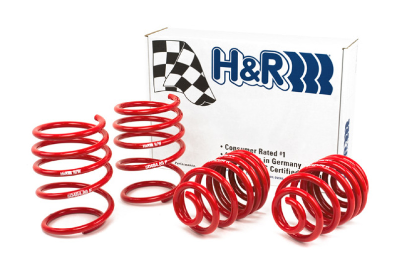 H&R Race Spring Kit | BMW 328i Sedan/335i Sedan (07-11) (50490-88)