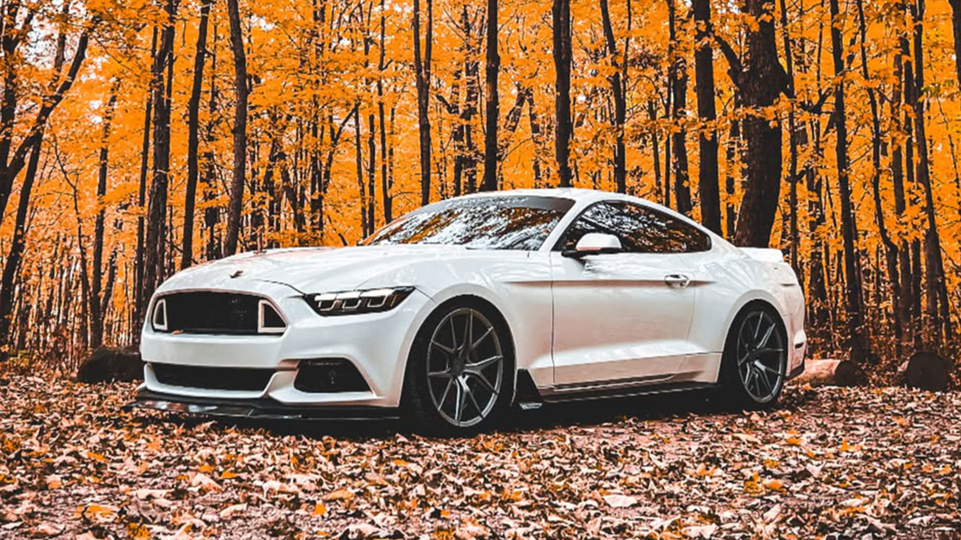 Ford Mustang S550 car parts